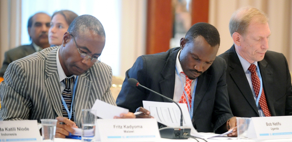 UN CC:Learn Cuntries Participate in 1st Dialogue on Article 6