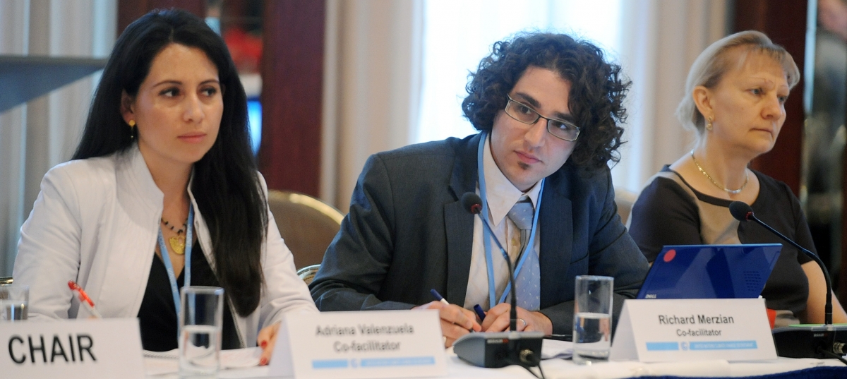 Chairs of the 1st Dialogue on Article 6