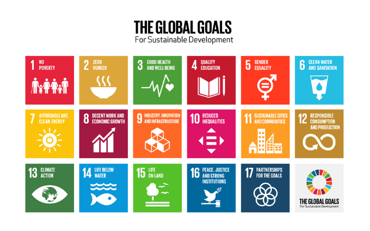 NAPs and the Sustainable Development Goals