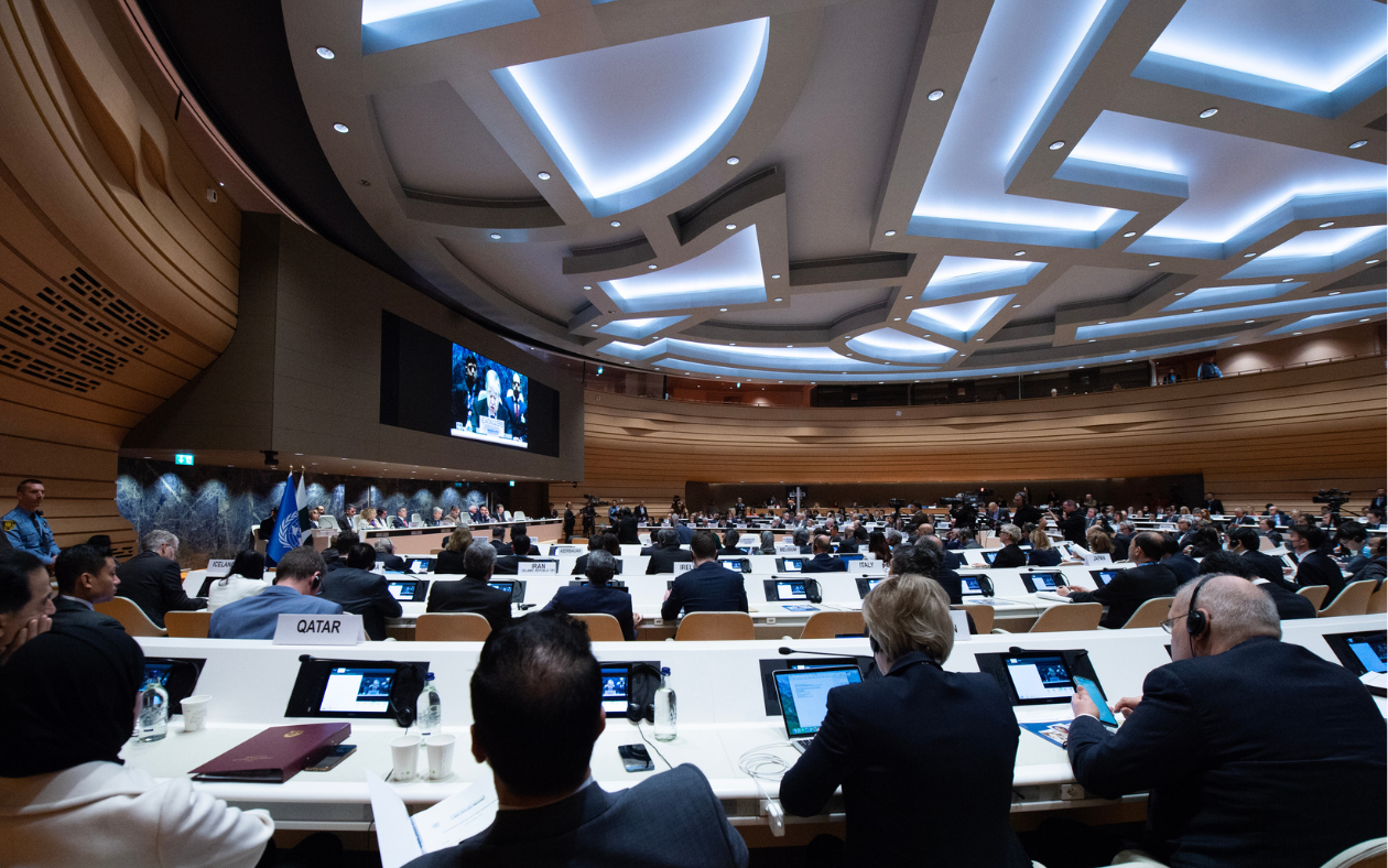 Develop Your Career in Diplomacy