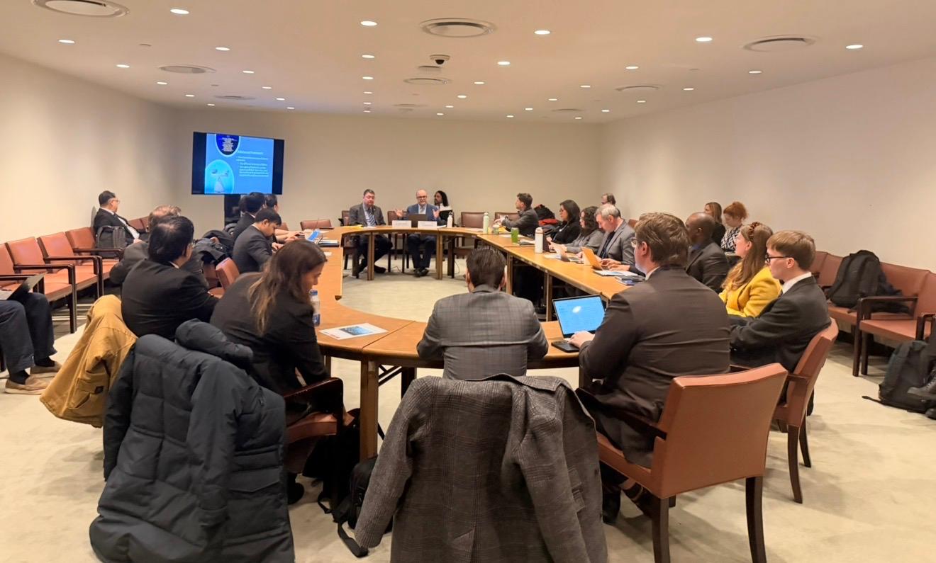 UNITAR and DOALOS Successfully Hold Briefing for Delegates on the ...