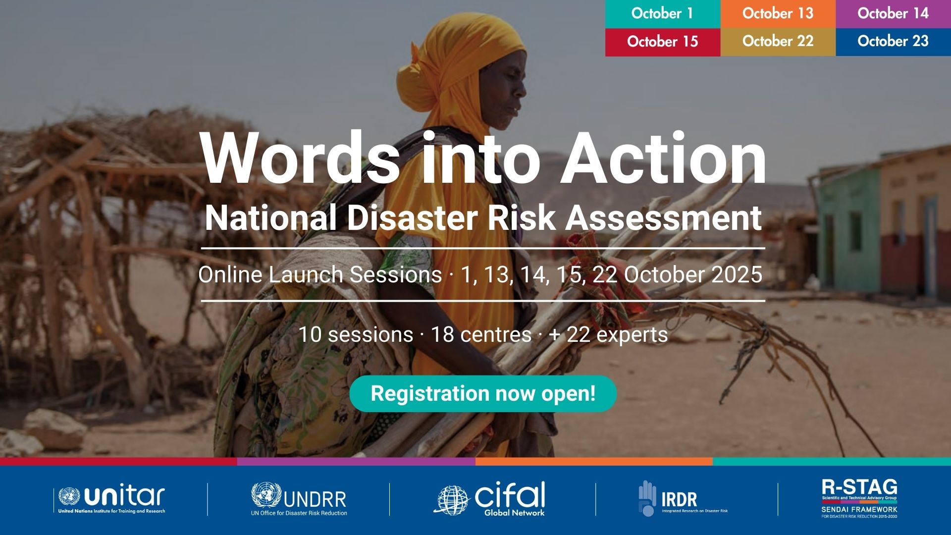 Words into Action: National Disaster Risk Assessment Online Sessions