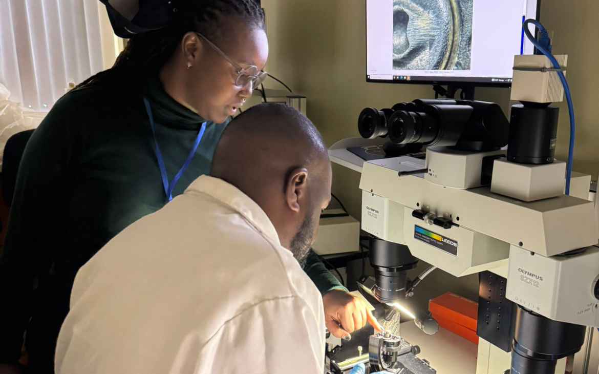 Microscopic analysis during a training session
