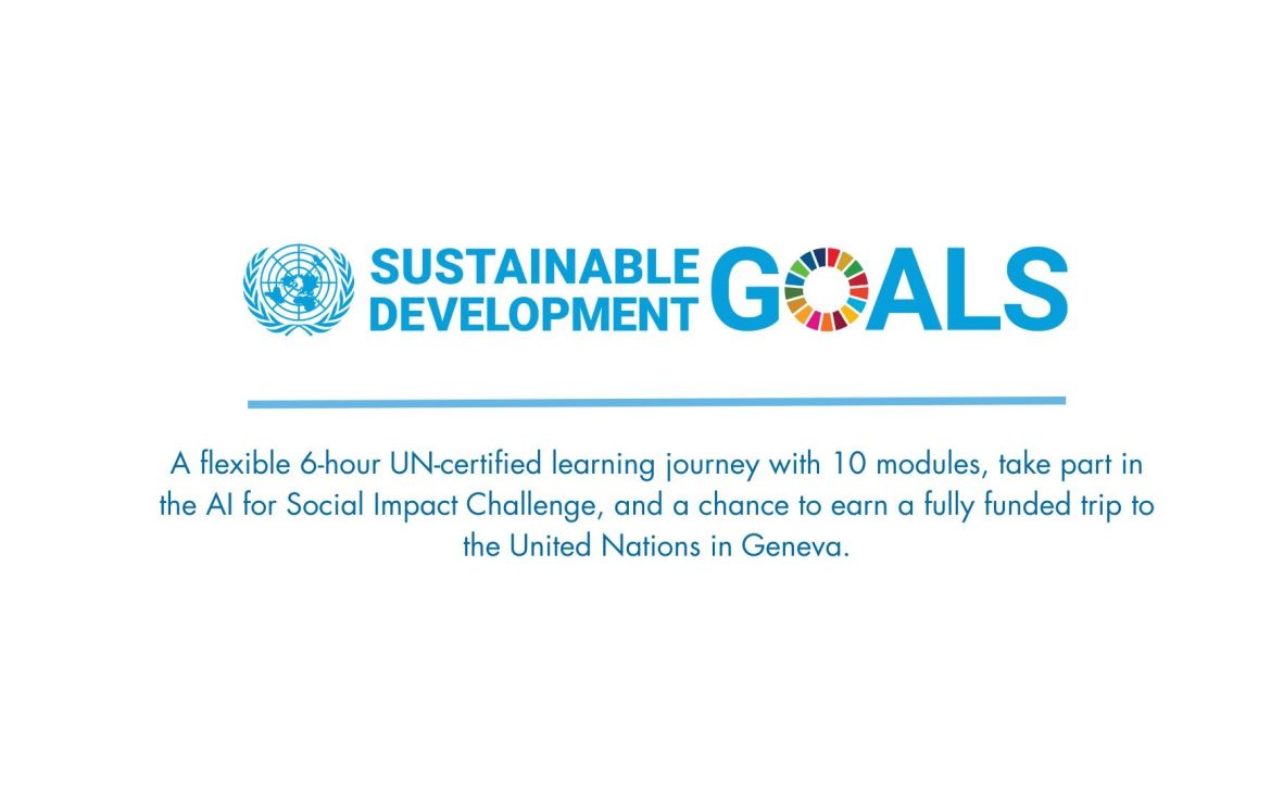 	AI for Social Impact Programme