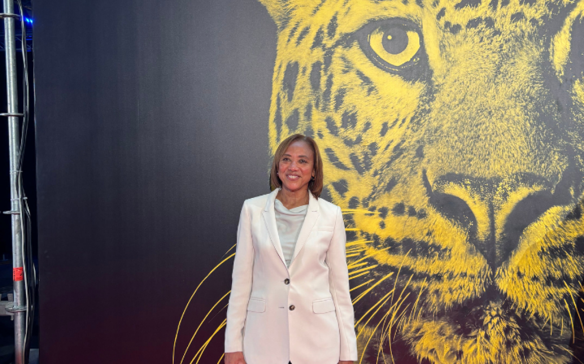 78th Locarno Film Festival