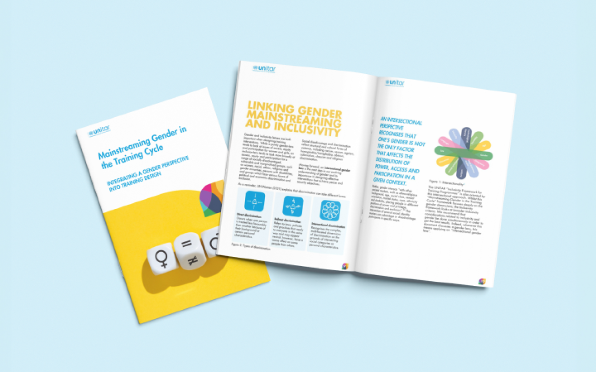 The guidelines for developing Gender Mainstreaming Frameworks