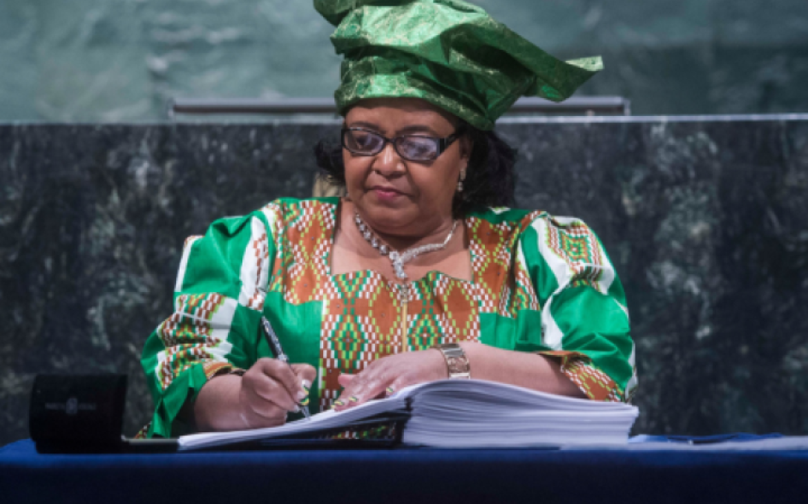 Law of the Treaties Programme