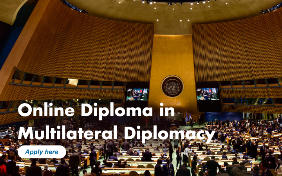 Online Diploma in Multilateral Diplomacy