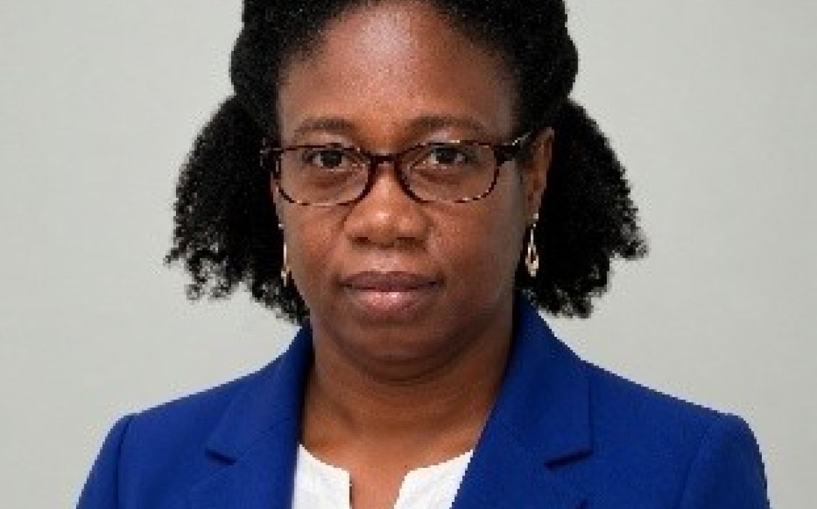 Ms. Sherma Small  Statistician, Central Statistical Organization (CSO) of St. Lucia