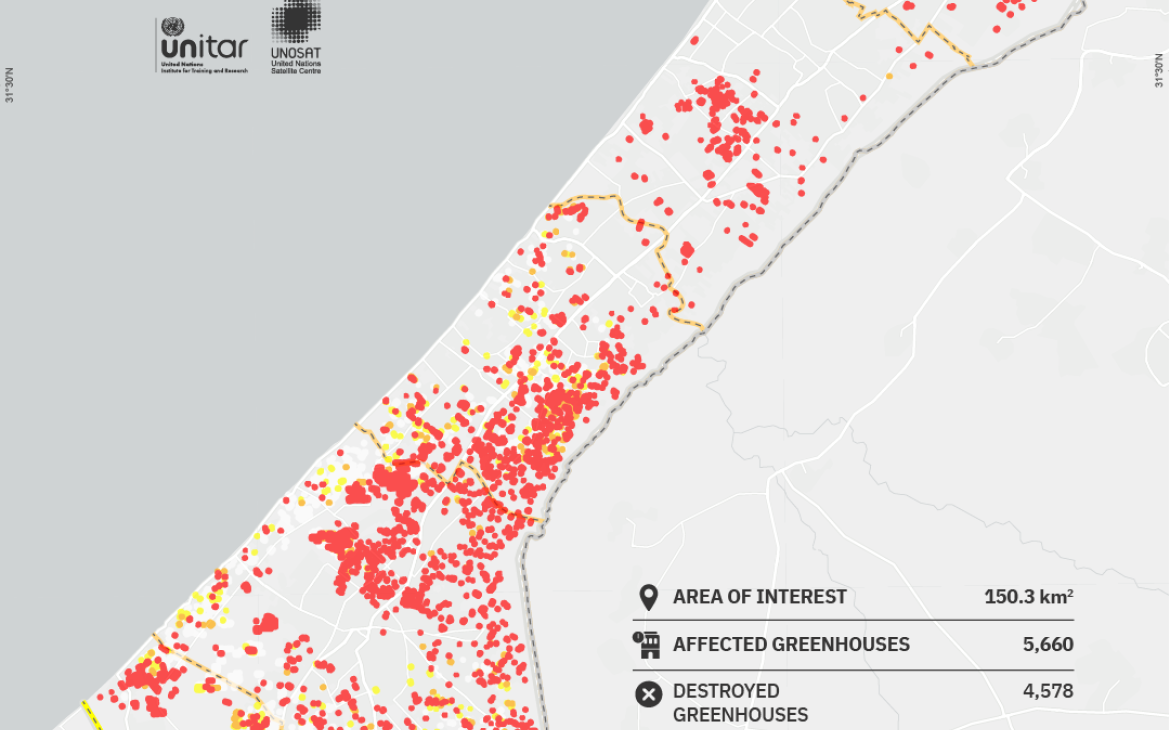 Imagery Analysis: 23 December 2024 (Occupied palestinian territory damage and destruction to greenhouses assessment, Gaza strip)