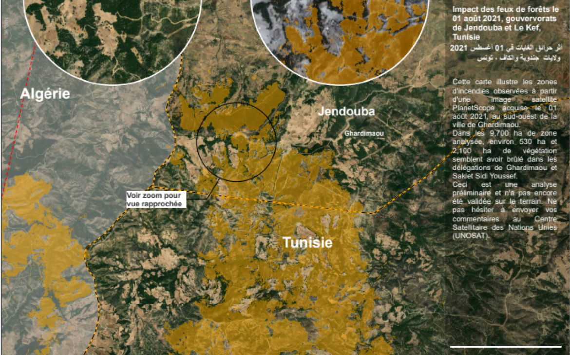 Impact des feux de forêts le 01 août 2021, gouvervorats de Jendouba et Le Kef, Tunisie