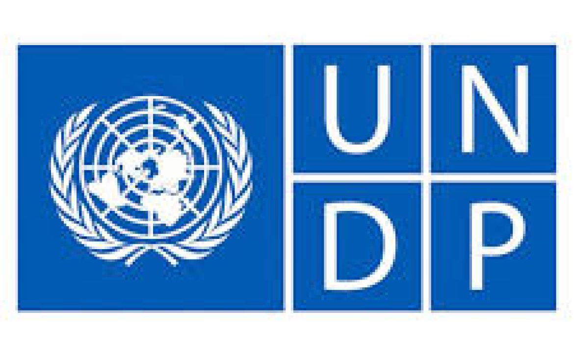 UNDP logo