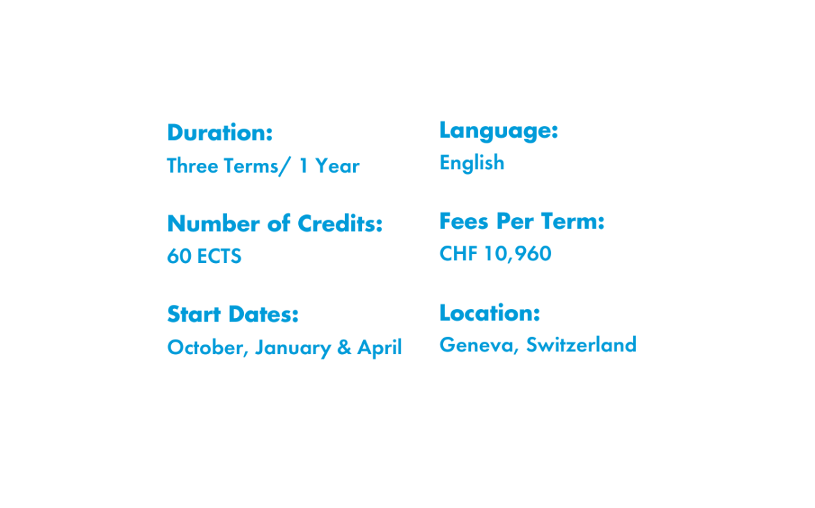 Master in Digital International Relations & Diplomacy	
