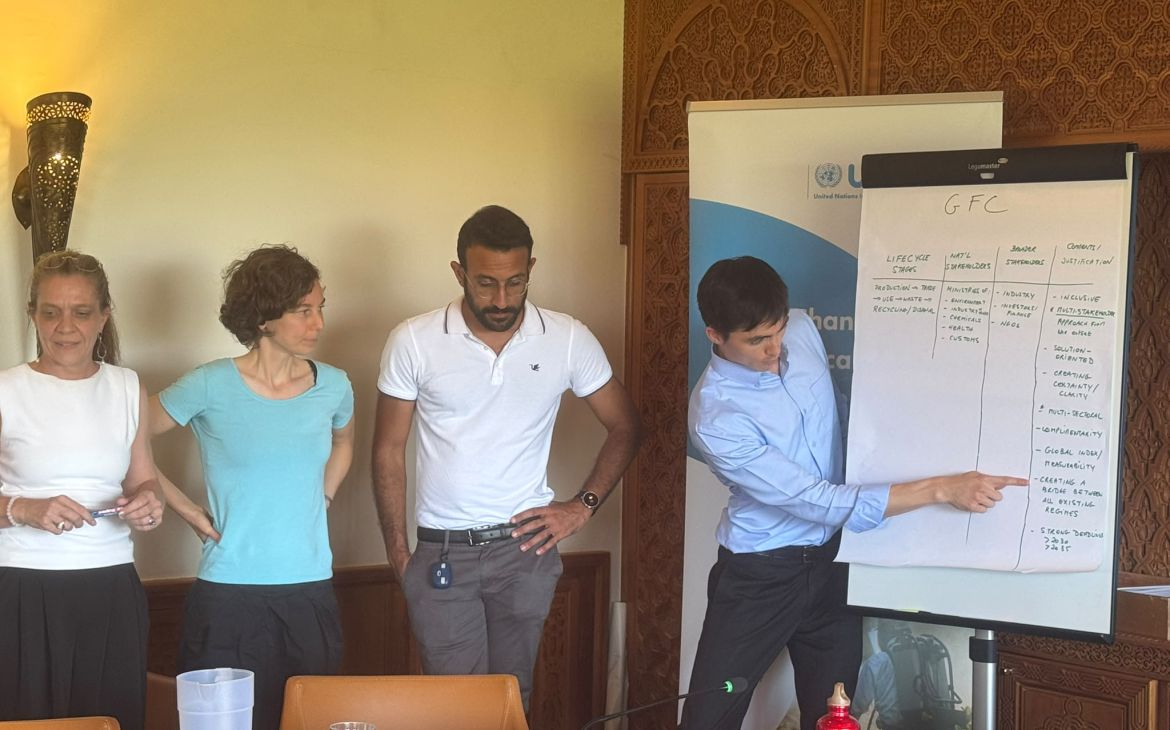 Chemicals and Waste Management MEA Mapping Exercise