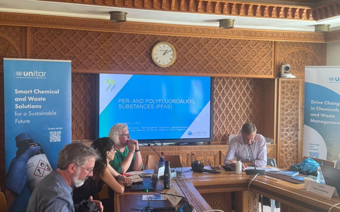 Dr. Eeva Leinala, Principal Administrator, OECD presenting on PFAS