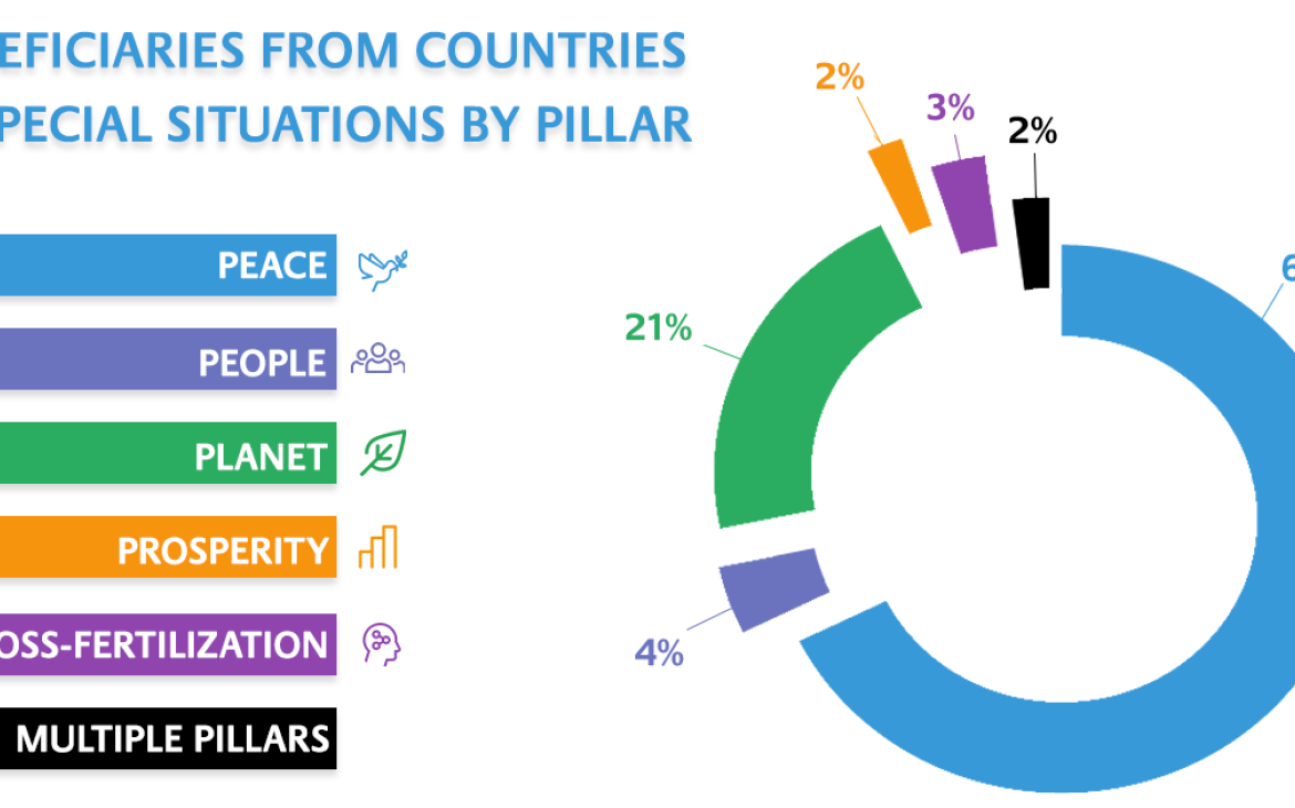 FOCUS ON COUNTRIES IN SPECIAL SITUATIONS 