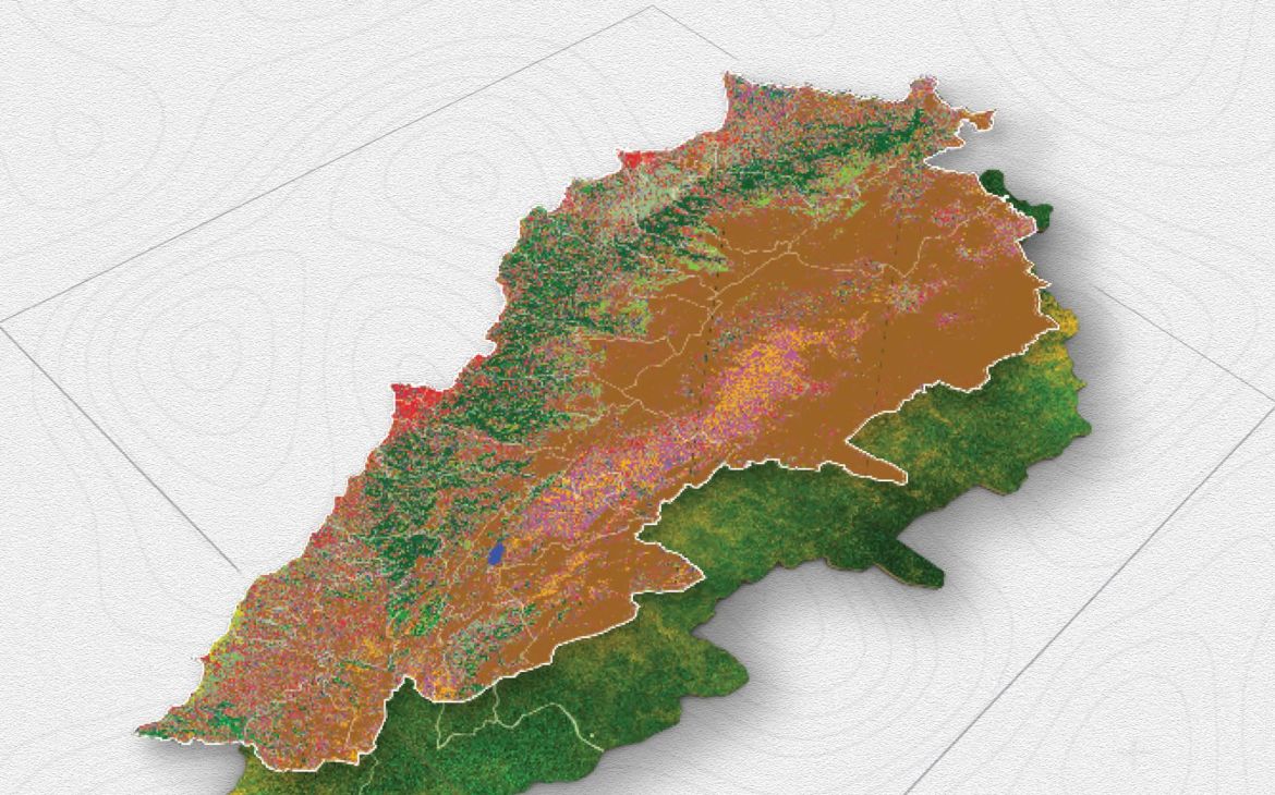 Assessing vegetation changes in agriculture and forestry during the conflict in Lebanon – October 2023 to October 2024