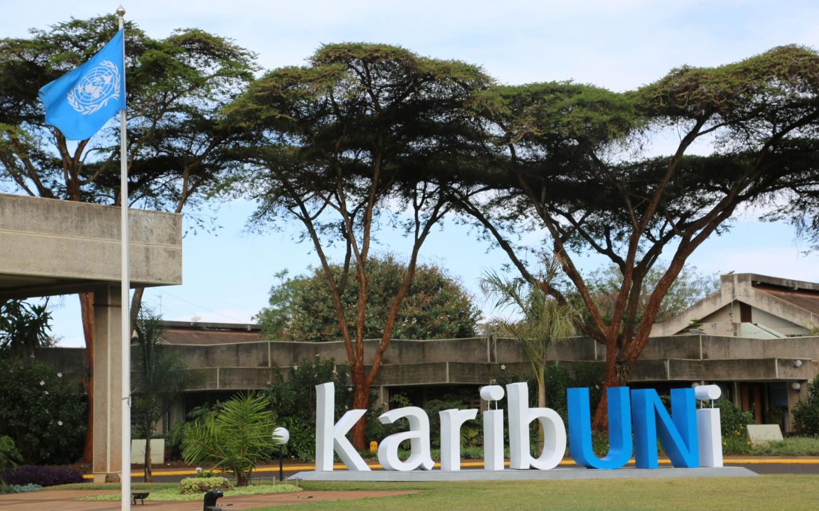 United Nations Nairobi Immersion Programme