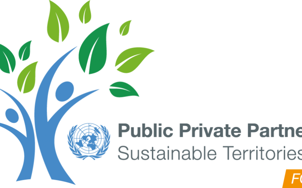 International Platform on Public-Private Partnerships for Sustainable Development