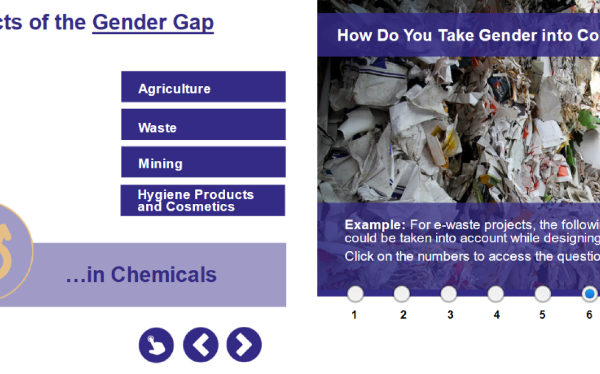Gender, Chemicals and Waste online course presentation Gender, Chemicals and Waste online course presentation