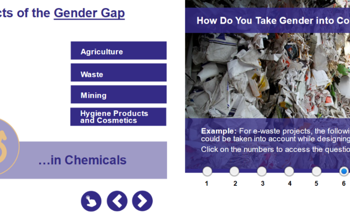 Gender, Chemicals and Waste online course presentation