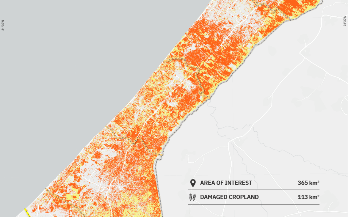 Imagery Analysis: 23 December 2024 (Occupied palestinian territory damage cropland assessment, Gaza strip)