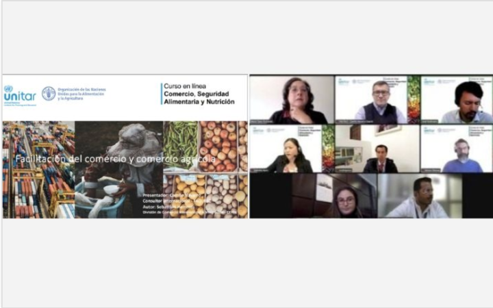 UNITAR and FAO Expand Impact of Trade and Food Security Training Across Latin America and Near East and North African Regions 