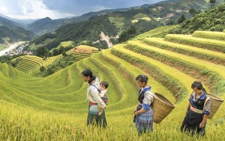 Adopting gender responsive approach on climate change policies