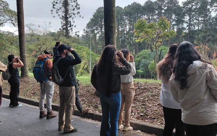 Participants birdwatching during the session on urban biodiversity, Sao Paulo, Brazil