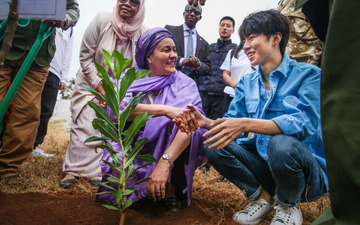 UPEACE - UNITAR Master in Development Studies and Diplomacy