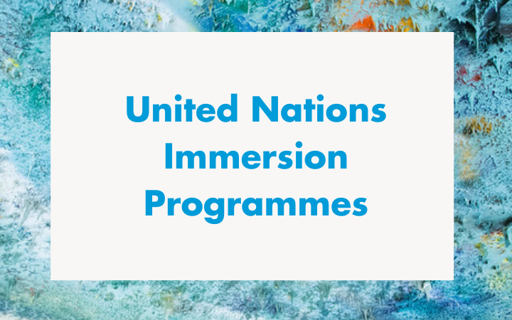 UNITAR Immersion Programmes