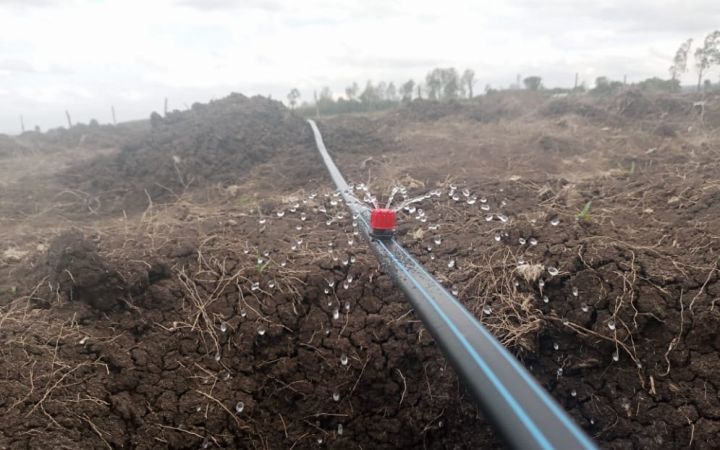 Irrigation pipe installed at a farm in Kenya