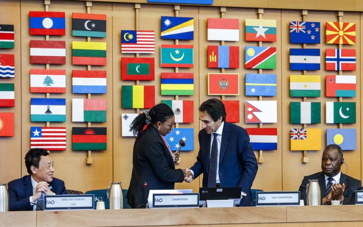 Specialized Master in International Affairs and Diplomacy