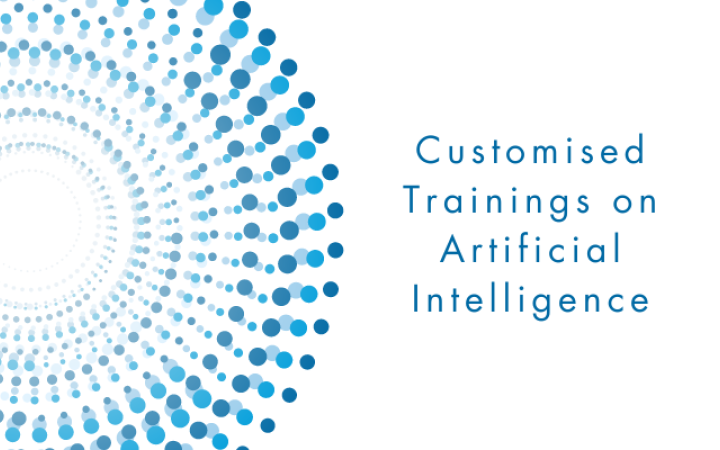 Customised Trainings in Artificial Intelligence