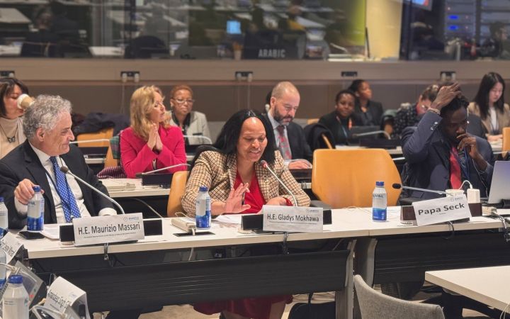  H.E. Gladys Mokhawa, Permanent Representative of Botswana to the UN and H.E. Maurizio Massari, Permanent Representative of Italy to the UN addressing participants 