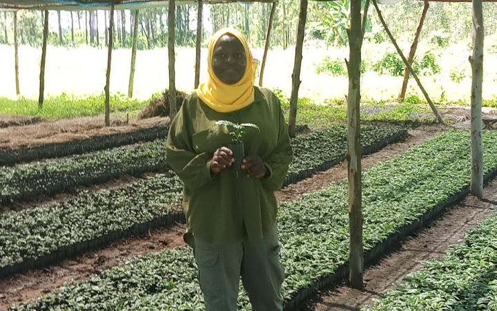Amina Yusuf Kashoro