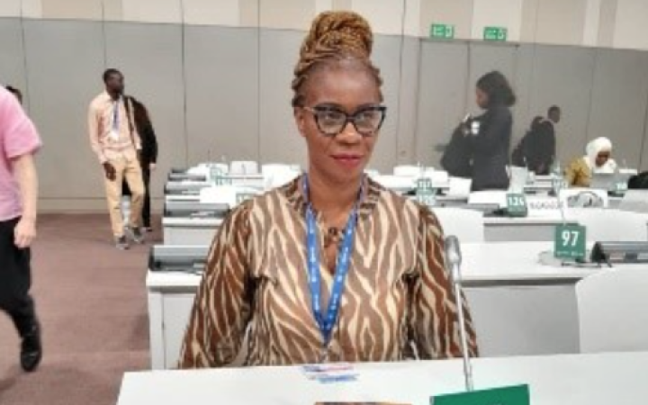 Gender and Climate Change focal point at the UNFCCC, for the Democratic Republic of Congo, Ministry of Environment and Sustainable Development 