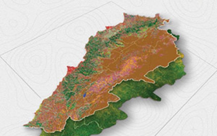 Assessing Vegetation Changes in Agriculture and Forestry During the Conflict in Lebanon – October 2023 to October 2024