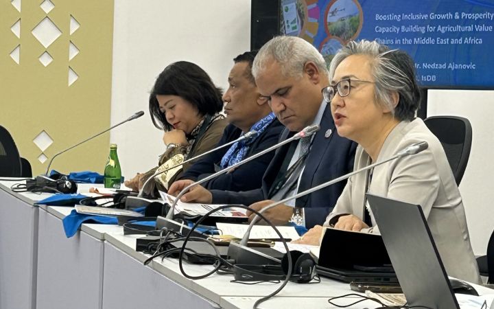 Ms. Mihoko Kumamoto, Director of UNITAR's Division for Prosperity in the side event "Cultivating Prosperity: Agriculture Partnerships for Sustainable Development" at CoP16
