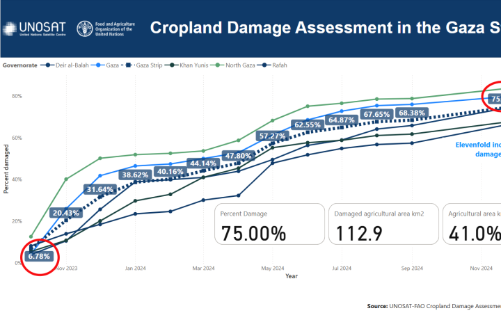 Cropland Damage Assessment in the Gaza Strip