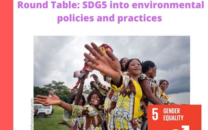 Roundtable: SDG5 into environmental policies and practices 
