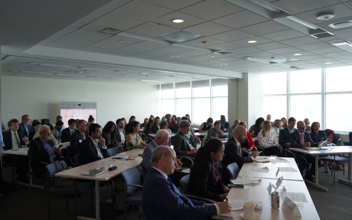 Participants follow the presentation of the GHES Consensus Statement during the symposium at UN Headquarters.