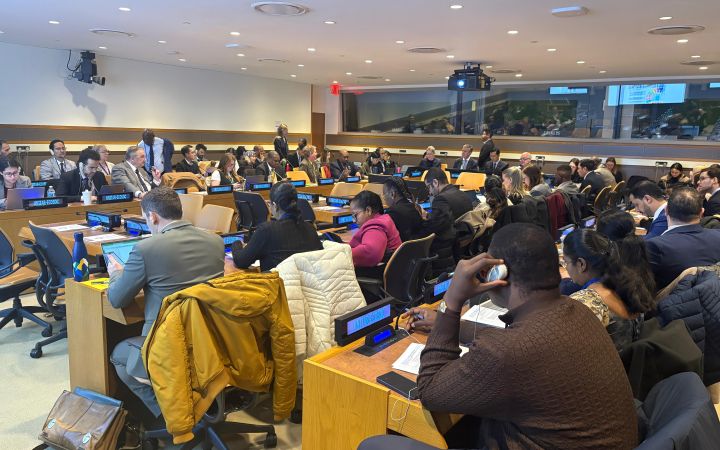 Filled room with delegates of Member States