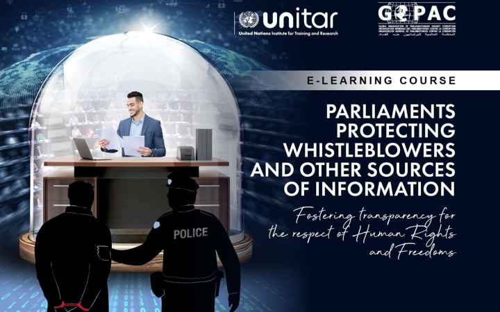 Parliaments Protecting Whistleblowers and other Sources of Information