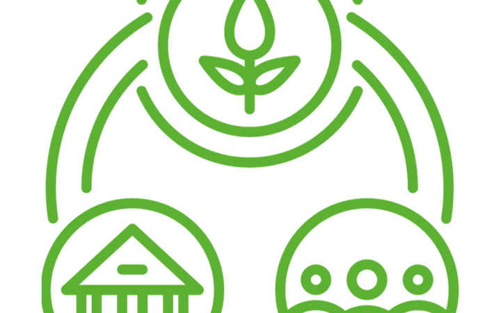 United Nations Global Leadership & ESG Programme (UNGLEP)