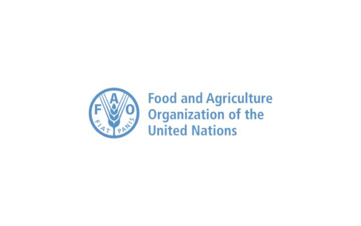 Food and Agriculture Organization (FAO) Logo