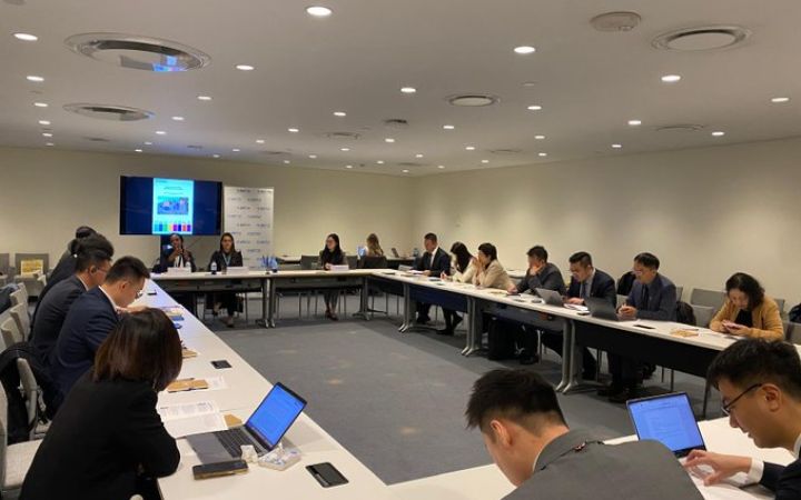 First UN Panel - Ms. Anna-Carole Vareil, Ms. Heran Ayele 