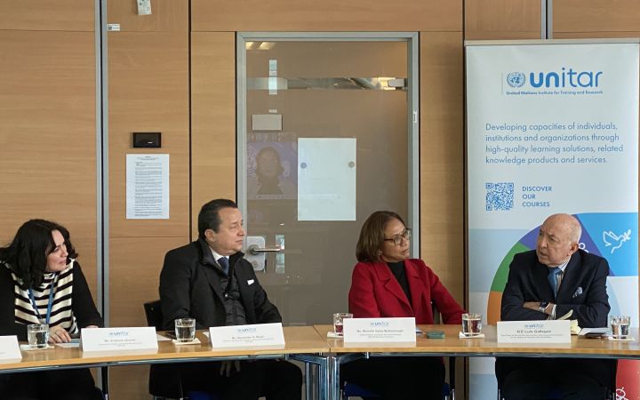 Embracing the UN Disability Strategy at UNITAR Workshop