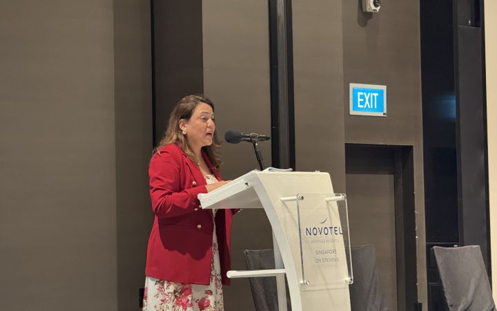Ms. Estrella Merlos, UNITAR's Senior Policy Specialist and Global Head of Transport and Mobility