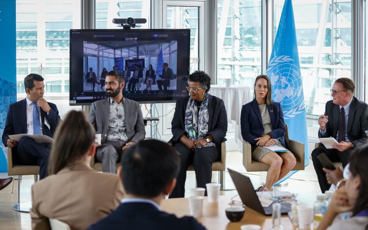 UNITAR AI-Driven Sustainable Solutions to Overcome Global Challenges Panelists in Discussion